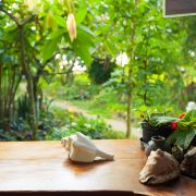 shaktivating-retreat-costa-rica-kitchen-pura-vida