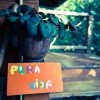 shaktivating-retreat-costa-rica-sign-pura-vida