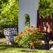 shaktivating-retreat-mount-shasta-goddess-town-women-summer-sunny-flowers