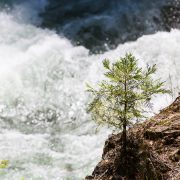 shaktivating-retreat-mount-shasta-nature-goddess-river-mountains-liberation